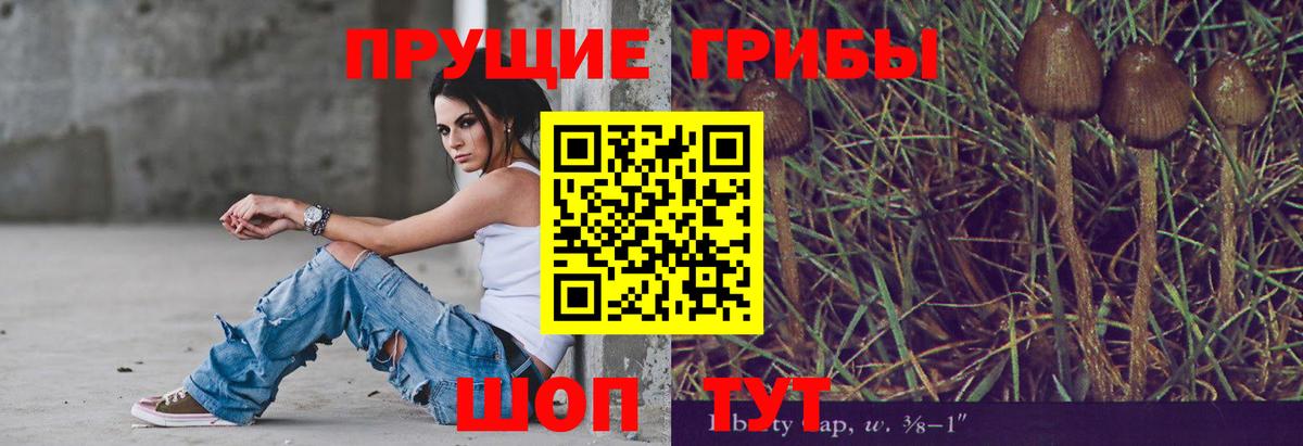 Белово  купить наркотики сайты  Вход с VPN  Галлюциногенные грибы мухоморы  Галлюциногенные грибы мицелий 